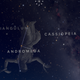 Image for article titled Three great nature apps for hiking, star gazing, and identifying wildlife
